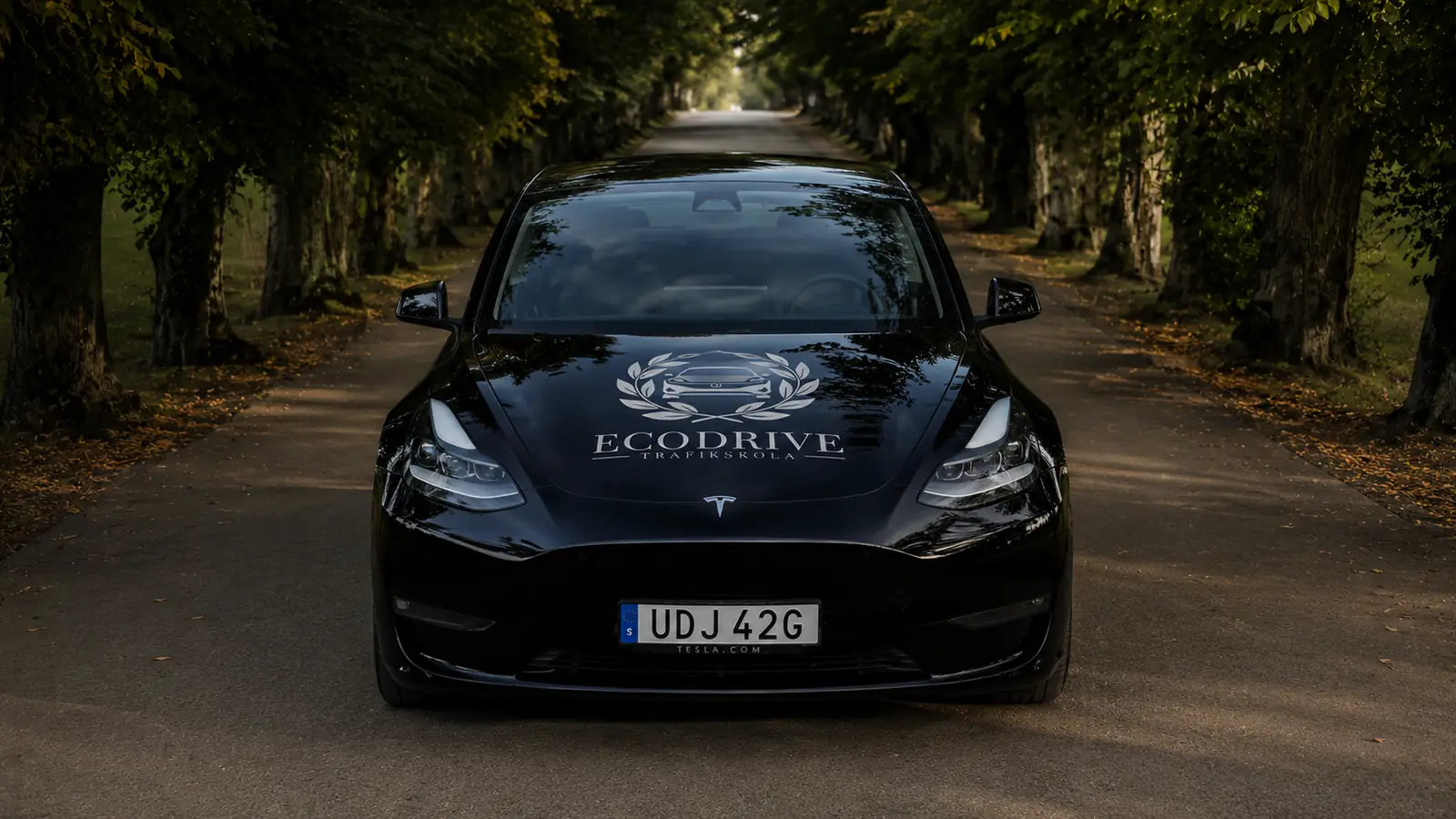 Ecodrives svarta elbil på en trädkantad väg